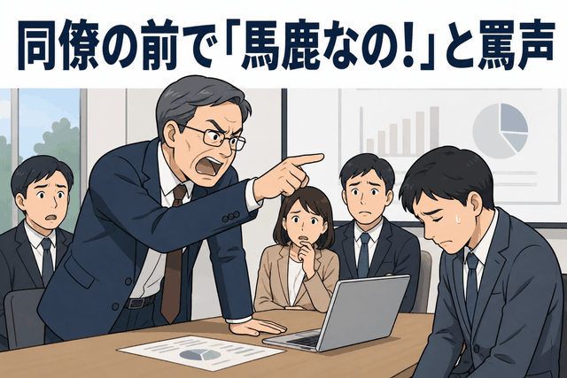 同僚の前で「馬鹿なの!」と罵声