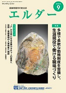 エルダー(JEED) 2025年9月号